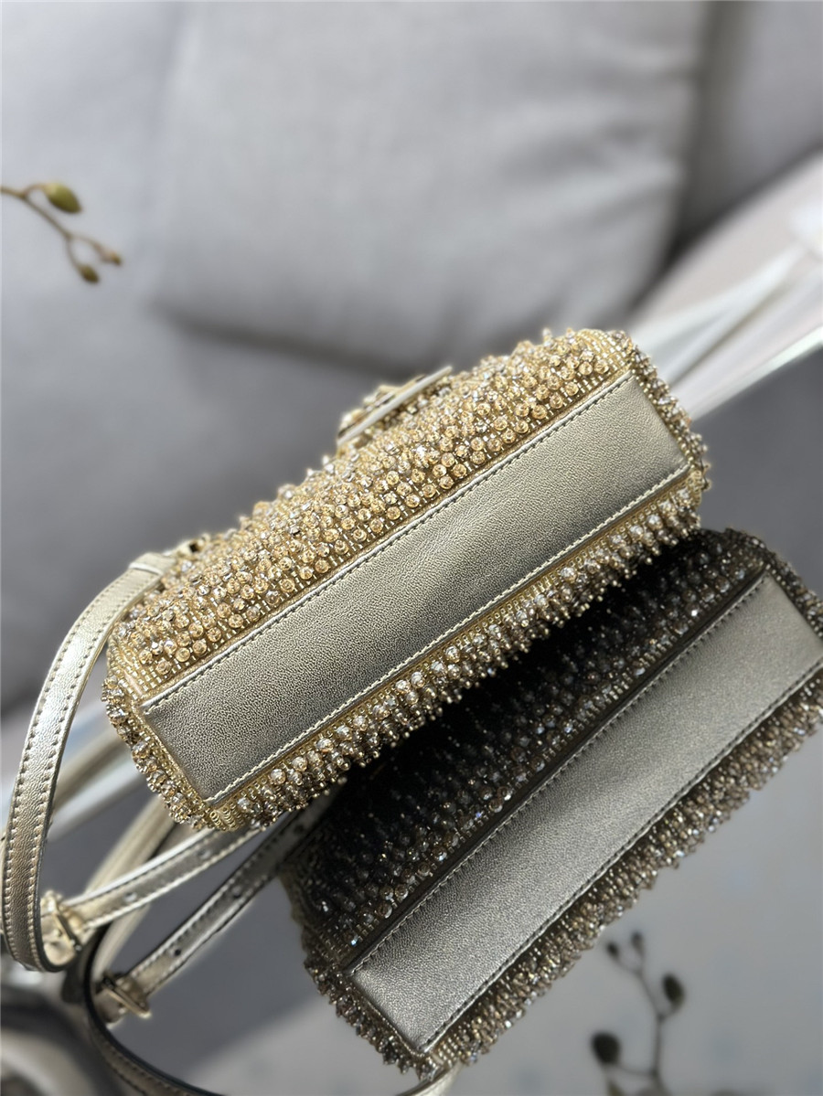 D10r lady d-joy mini embroidered beaded bag