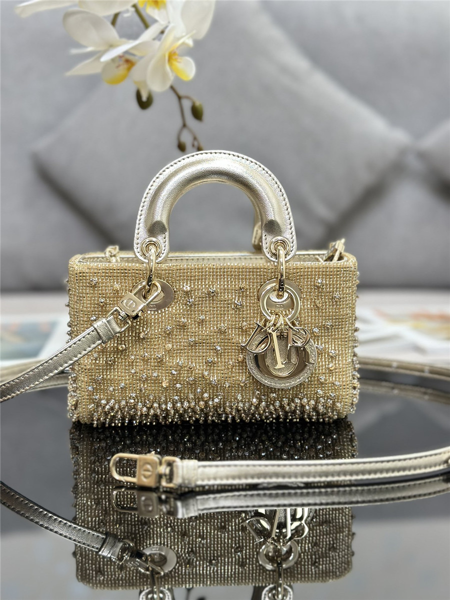 D10r lady d-joy mini embroidered beaded bag