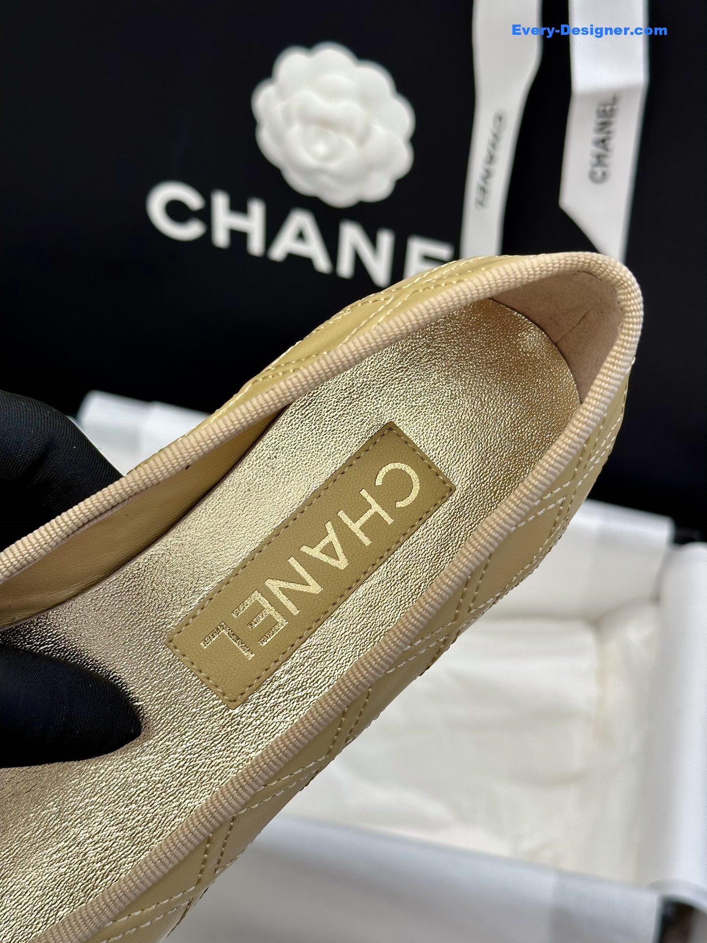 CC new ballet shoes